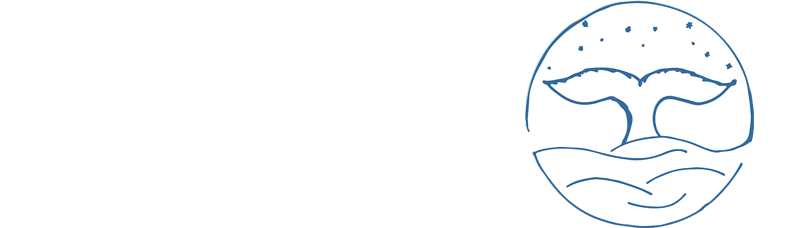 Bereishit.de - Im Anfang steckt ein Geheimnis